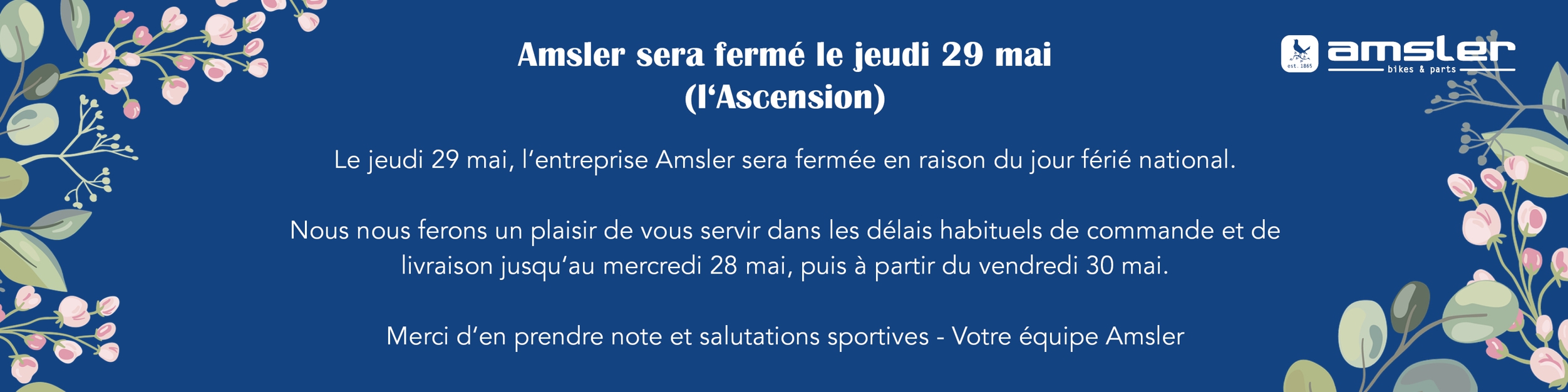 Amsler Bike Motos und Parts Online Shop