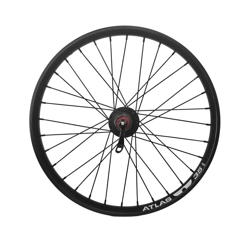 Amsler Hinterrad, HSD P10,  20 inch, disc