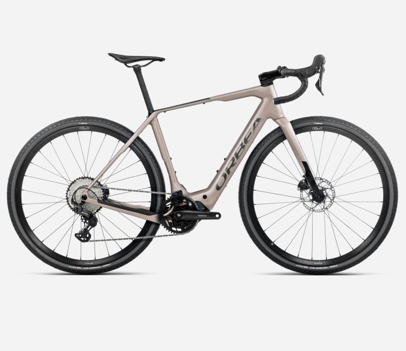 Amsler DENNA M30
 L Nickel Matt - Carbon Raw Gl