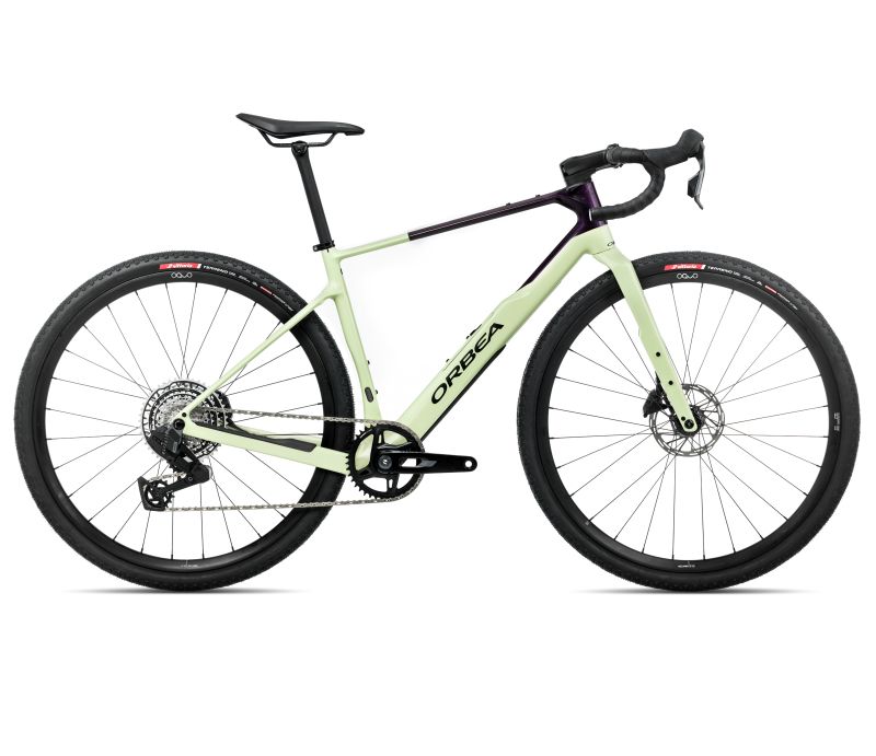 Amsler TERRA M31eTEAM 1X S Acid Gum - Fantasy P