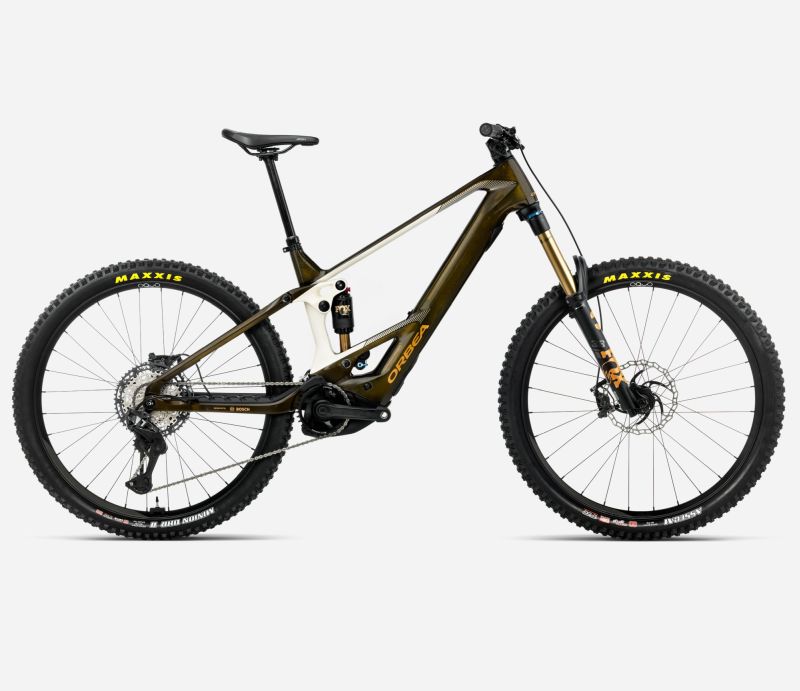 Amsler WILD M-TEAM XL Caramel Carbon View (Glos