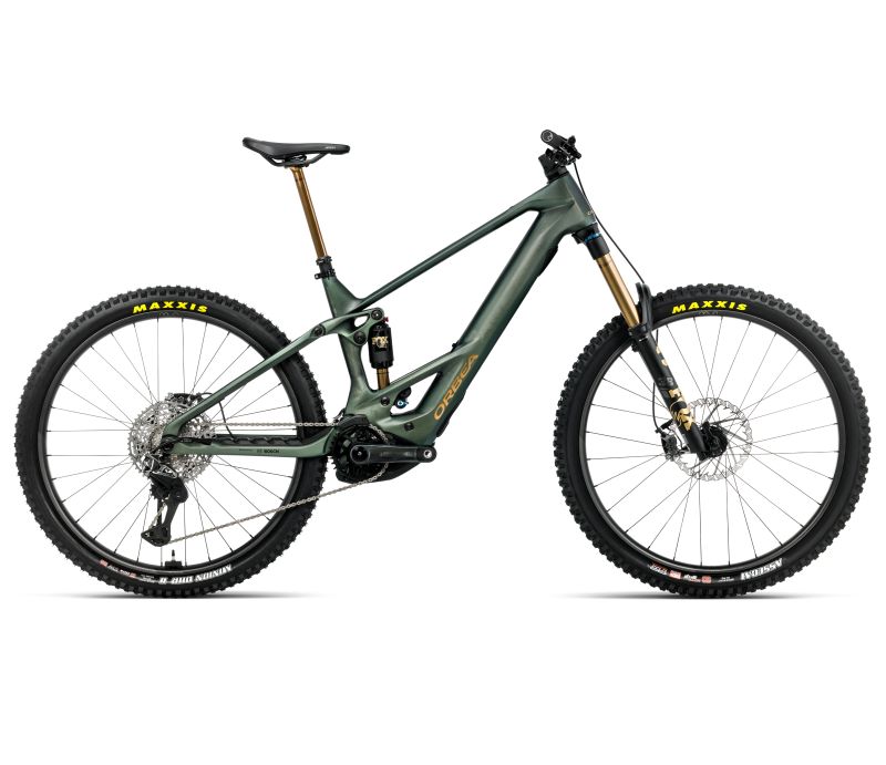 Amsler WILD M-LTD S Seaweed Carbon View Matt