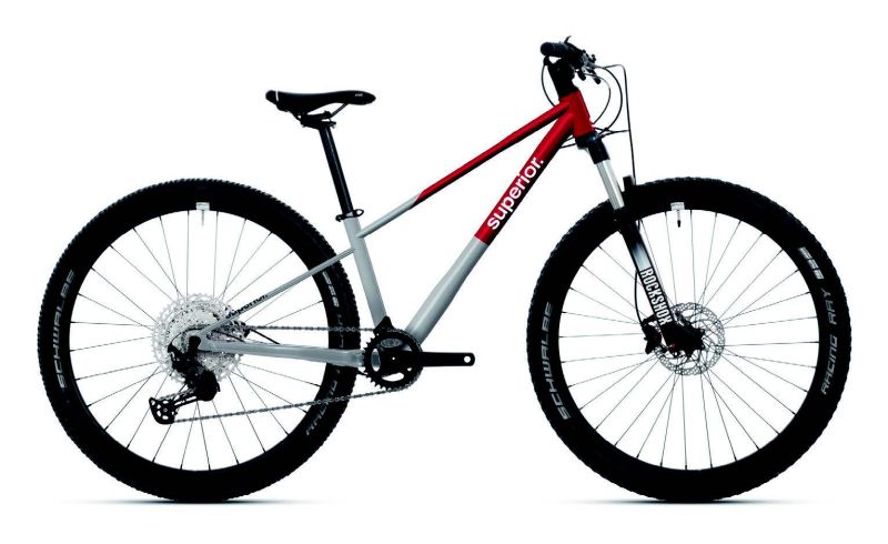Amsler TEAM 27.3 Brushed Alu/Red 15,5